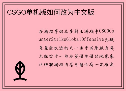 CSGO单机版如何改为中文版